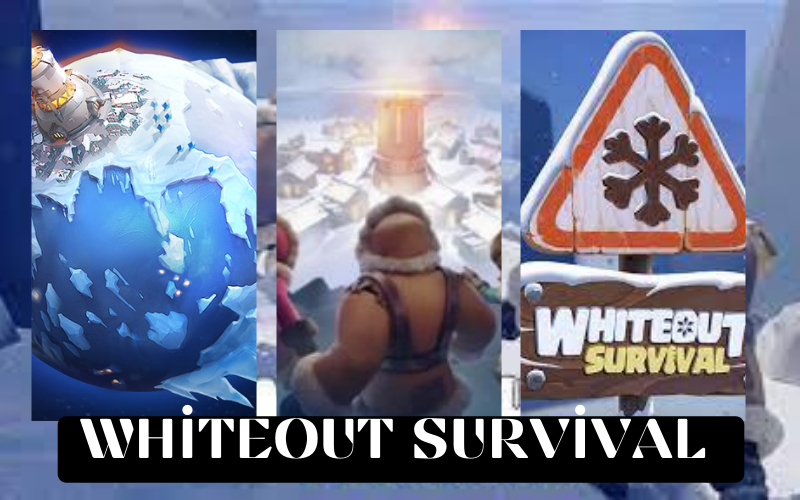 Whiteout Survival Apk